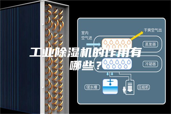 工業(yè)除濕機(jī)的作用有哪些？