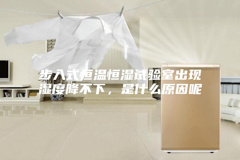 步入式恒溫恒濕試驗(yàn)室出現(xiàn)濕度降不下，是什么原因呢