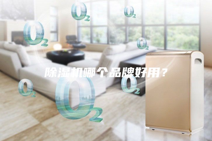 除濕機(jī)哪個(gè)品牌好用？