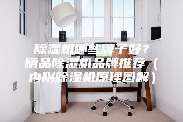 除濕機哪些牌子好？精品除濕機品牌推薦（內(nèi)附除濕機原理圖解）