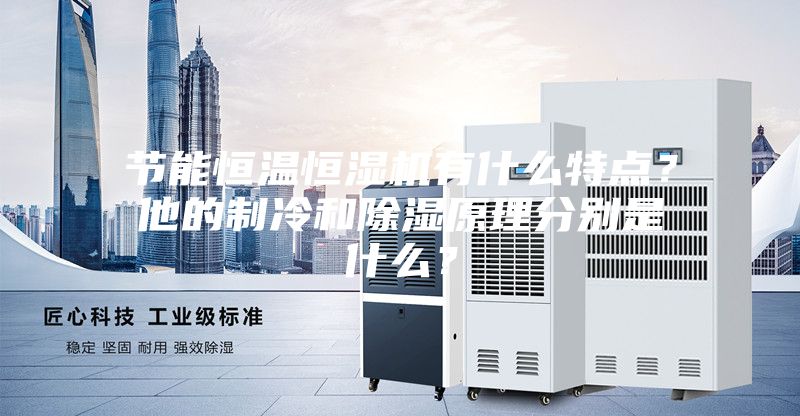 節(jié)能恒溫恒濕機(jī)有什么特點(diǎn)？他的制冷和除濕原理分別是什么？