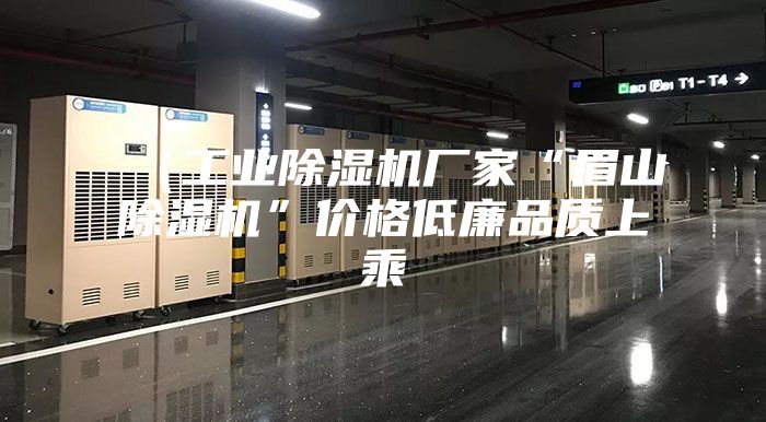 （工業(yè)除濕機(jī)廠(chǎng)家“眉山除濕機(jī)”價(jià)格低廉品質(zhì)上乘