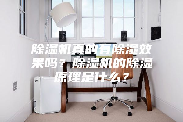 除濕機(jī)真的有除濕效果嗎？除濕機(jī)的除濕原理是什么？