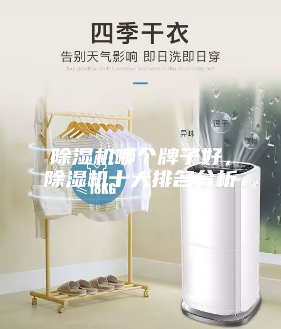 除濕機(jī)哪個(gè)牌子好，除濕機(jī)十大排名分析