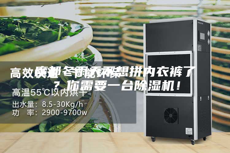 魔都冬雨天不想拼內(nèi)衣褲了？你需要一臺(tái)除濕機(jī)！