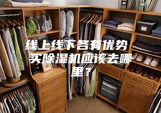 線上線下各有優(yōu)勢 買除濕機應該去哪里？