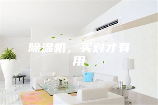 除濕機，買對才有用