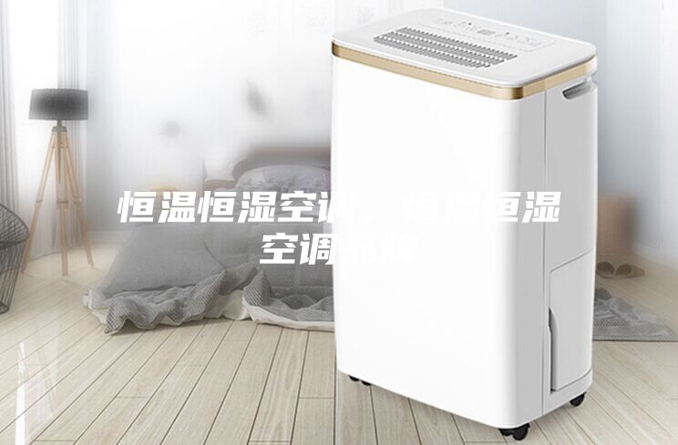 恒溫恒濕空調(diào)，恒溫恒濕空調(diào)品牌