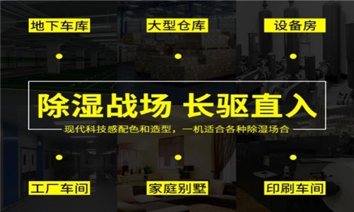 秋冬防濕冷，家里怎么除濕最好？