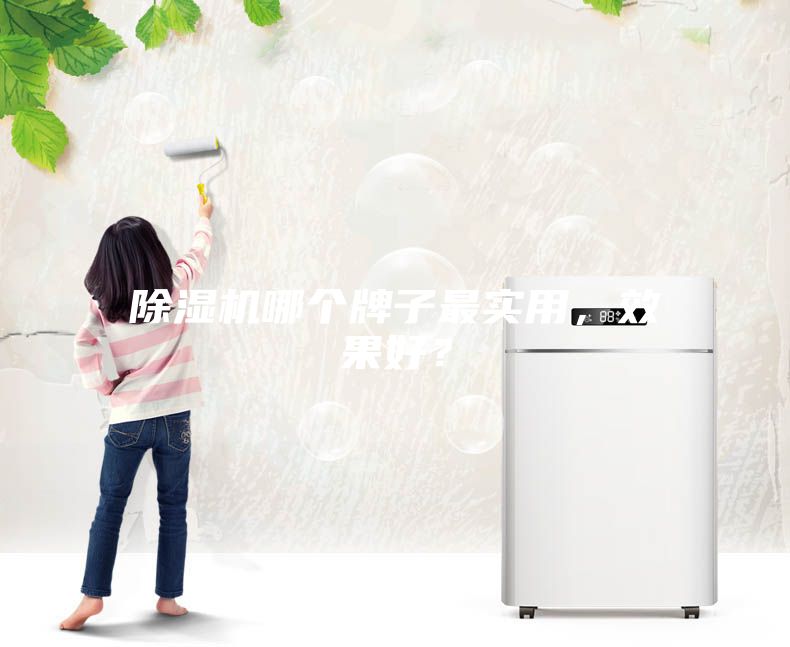 除濕機哪個牌子最實用，效果好？