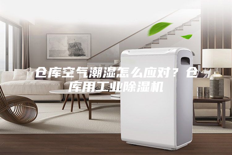 倉庫空氣潮濕怎么應對？倉庫用工業(yè)除濕機