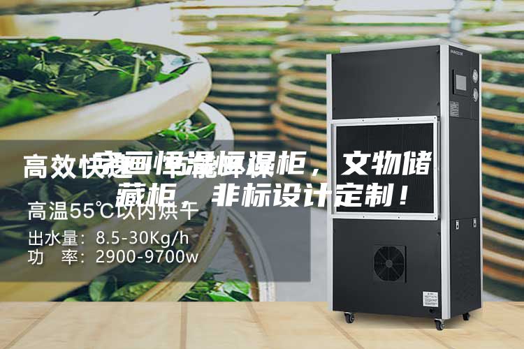 字畫(huà)恒溫恒濕柜，文物儲(chǔ)藏柜，非標(biāo)設(shè)計(jì)定制！