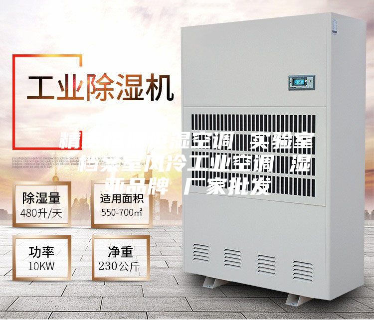 精密恒溫恒濕空調(diào) 實驗室 檔案室風冷工業(yè)空調(diào) 濕亞品牌 廠家批發(fā)
