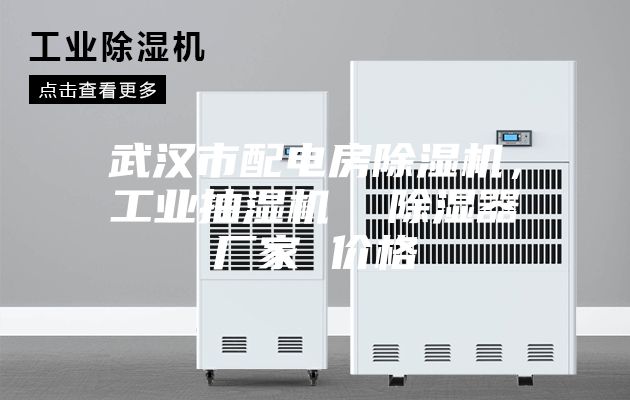 武漢市配電房除濕機(jī)，工業(yè)抽濕機(jī)  除濕器廠家 價(jià)格