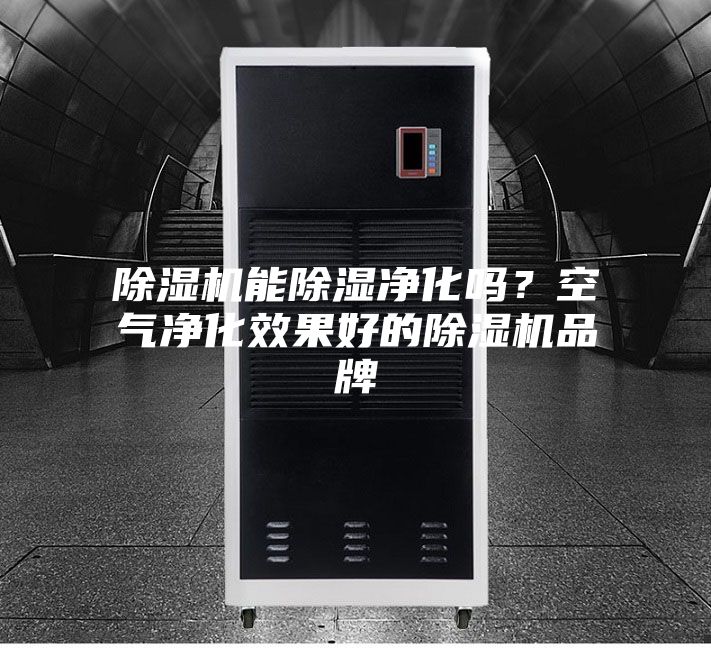除濕機能除濕凈化嗎？空氣凈化效果好的除濕機品牌