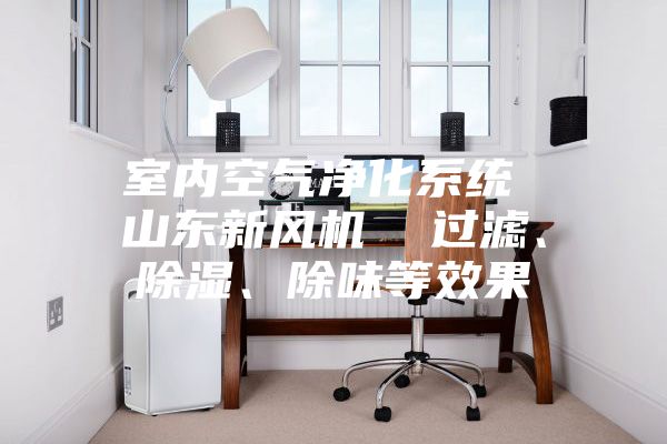 室內(nèi)空氣凈化系統(tǒng) 山東新風機  過濾、除濕、除味等效果
