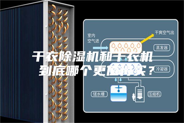 干衣除濕機和干衣機 到底哪個更值得買？