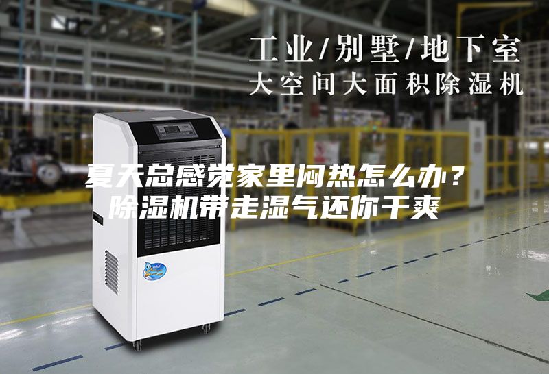 夏天總感覺家里悶熱怎么辦？除濕機帶走濕氣還你干爽