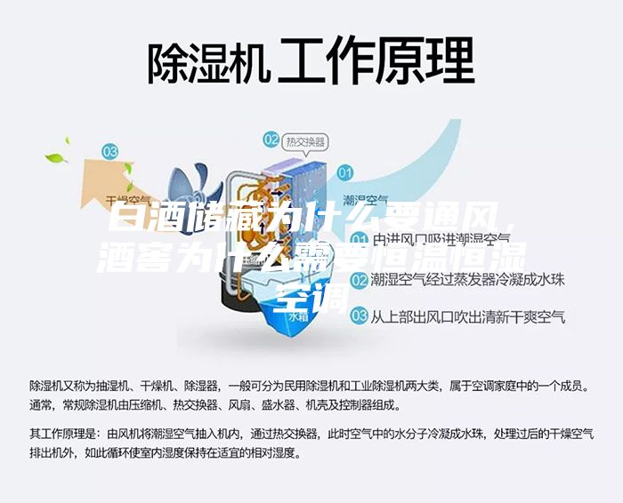 白酒儲(chǔ)藏為什么要通風(fēng)，酒窖為什么需要恒溫恒濕空調(diào)