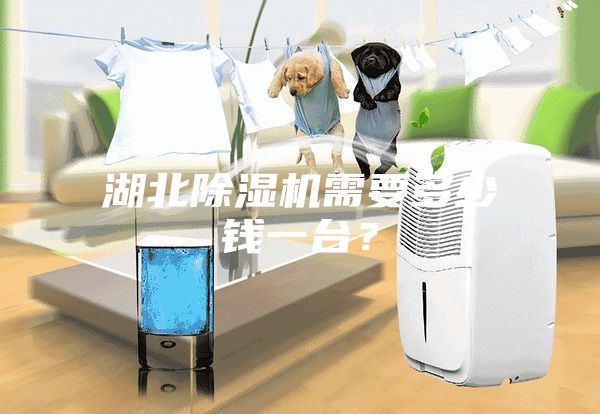 湖北除濕機需要多少錢一臺？