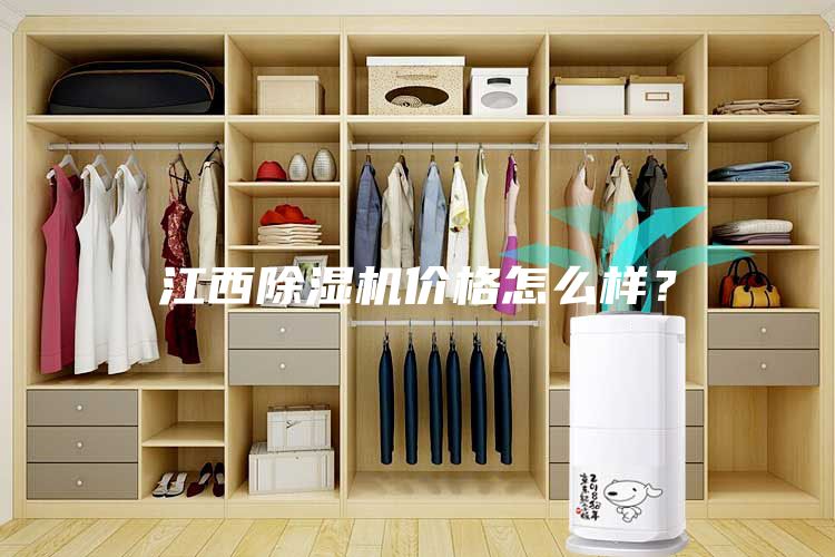 江西除濕機(jī)價(jià)格怎么樣？