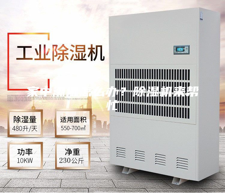 家中潮濕怎么辦？除濕機(jī)來幫忙