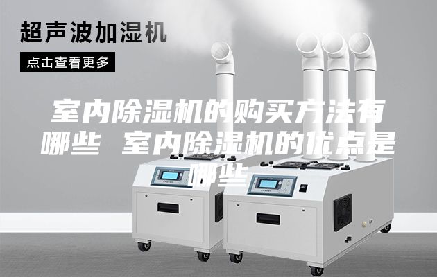 室內(nèi)除濕機(jī)的購(gòu)買(mǎi)方法有哪些 室內(nèi)除濕機(jī)的優(yōu)點(diǎn)是哪些