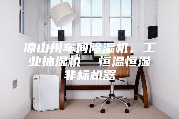 涼山州車間除濕機(jī)，工業(yè)抽濕機(jī)  恒溫恒濕非標(biāo)機(jī)器