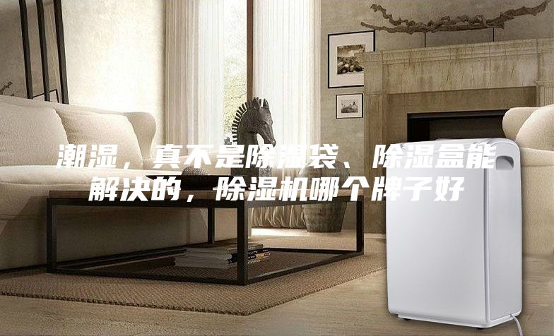 潮濕，真不是除濕袋、除濕盒能解決的，除濕機哪個牌子好