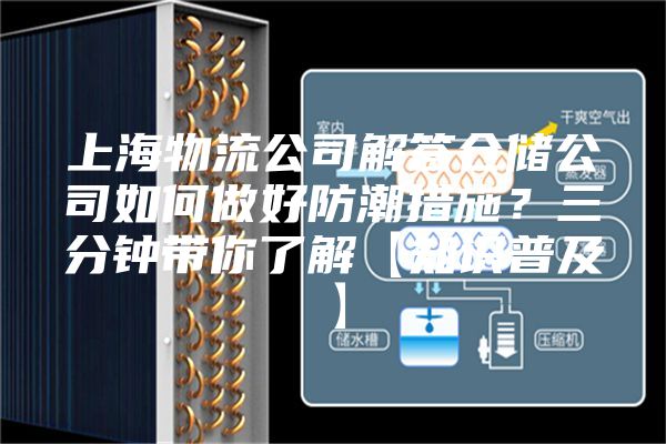 上海物流公司解答倉儲公司如何做好防潮措施？三分鐘帶你了解【知識普及】
