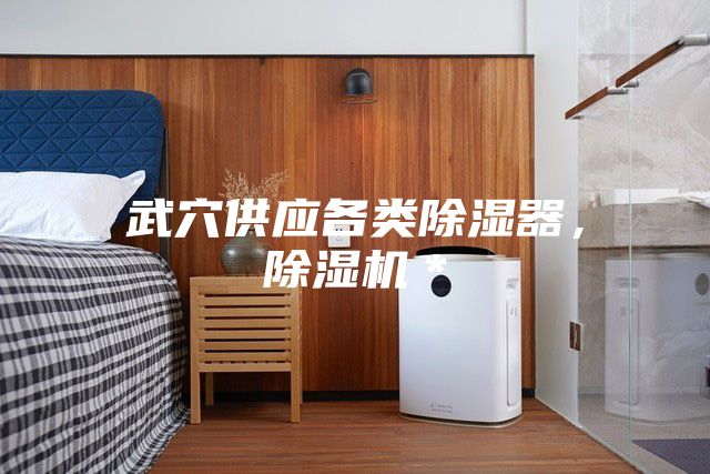 武穴供應(yīng)各類除濕器，除濕機(jī)＊