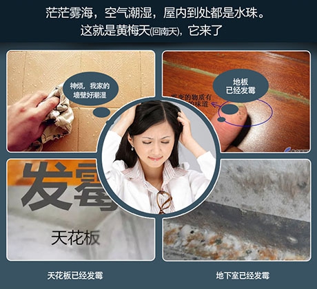 地下室中央新風(fēng)除濕機(jī)，地下室通風(fēng)與除濕解決方案
