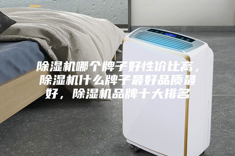 除濕機(jī)哪個(gè)牌子好性價(jià)比高，除濕機(jī)什么牌子最好品質(zhì)最好，除濕機(jī)品牌十大排名