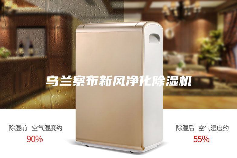 烏蘭察布新風(fēng)凈化除濕機