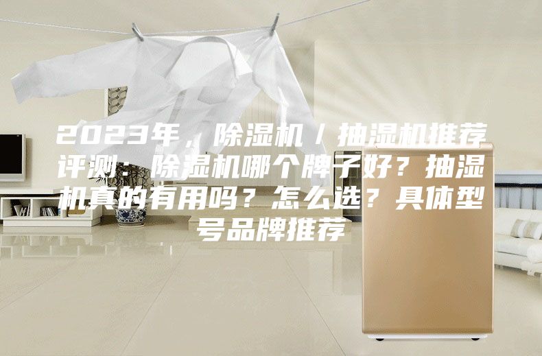 2023年，除濕機／抽濕機推薦評測：除濕機哪個牌子好？抽濕機真的有用嗎？怎么選？具體型號品牌推薦