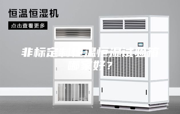 非標定制恒溫恒濕試驗箱哪家好？