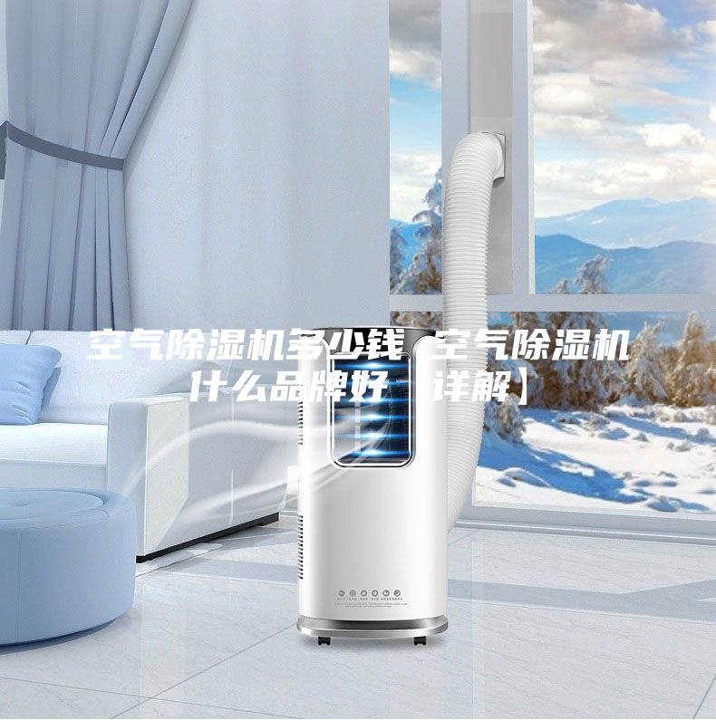 空氣除濕機(jī)多少錢(qián) 空氣除濕機(jī)什么品牌好【詳解】