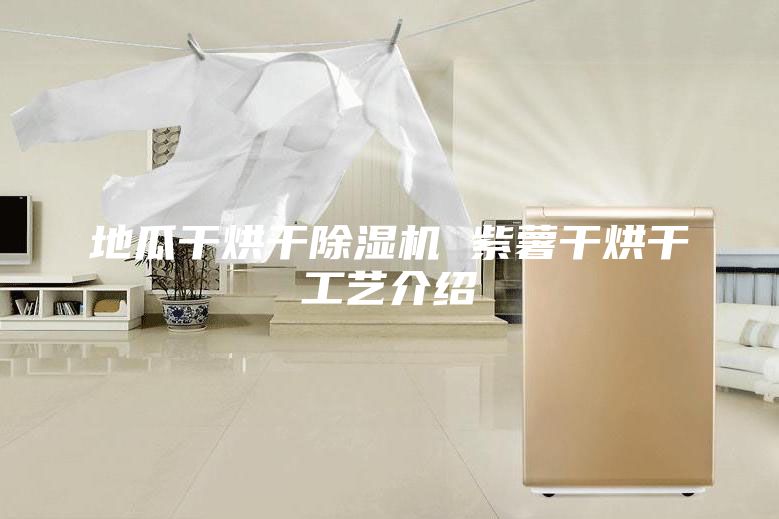 地瓜干烘干除濕機(jī) 紫薯干烘干工藝介紹