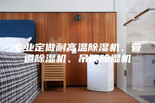 專業(yè)定做耐高溫除濕機(jī)、管道除濕機(jī)、吊頂除濕機(jī)