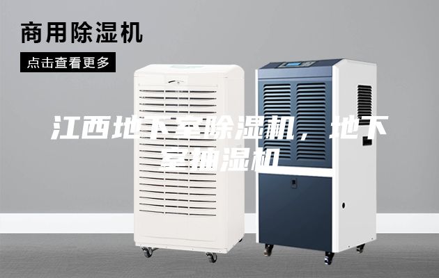 江西地下室除濕機(jī)，地下室抽濕機(jī)