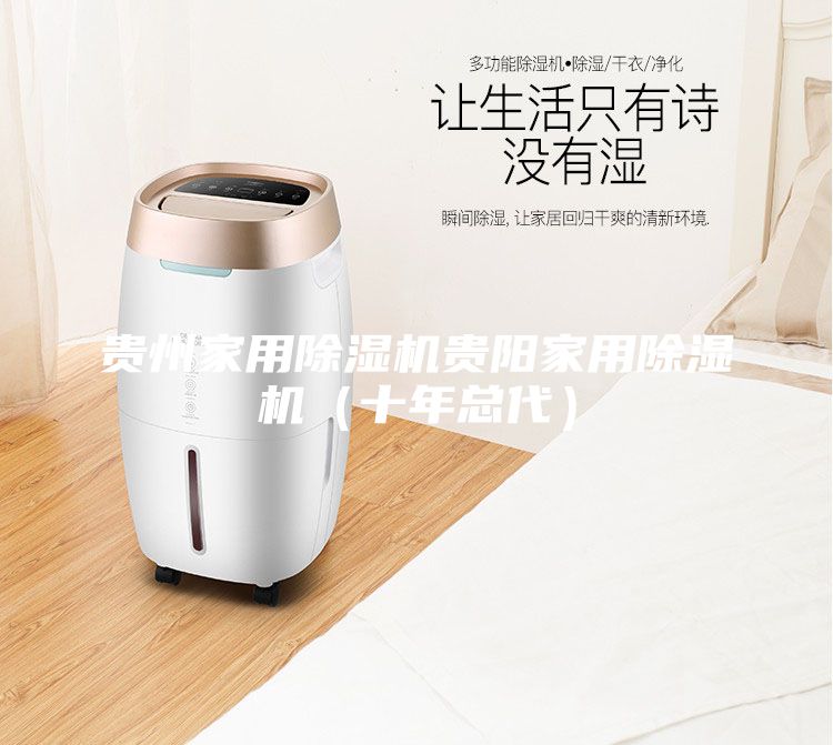 貴州家用除濕機(jī)貴陽(yáng)家用除濕機(jī)（十年總代）
