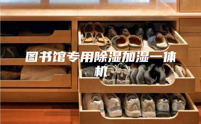 圖書館專用除濕加濕一體機(jī)
