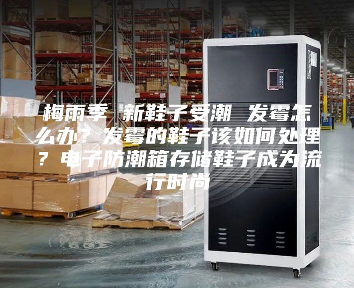 梅雨季 新鞋子受潮 發(fā)霉怎么辦？發(fā)霉的鞋子該如何處理？電子防潮箱存儲鞋子成為流行時尚