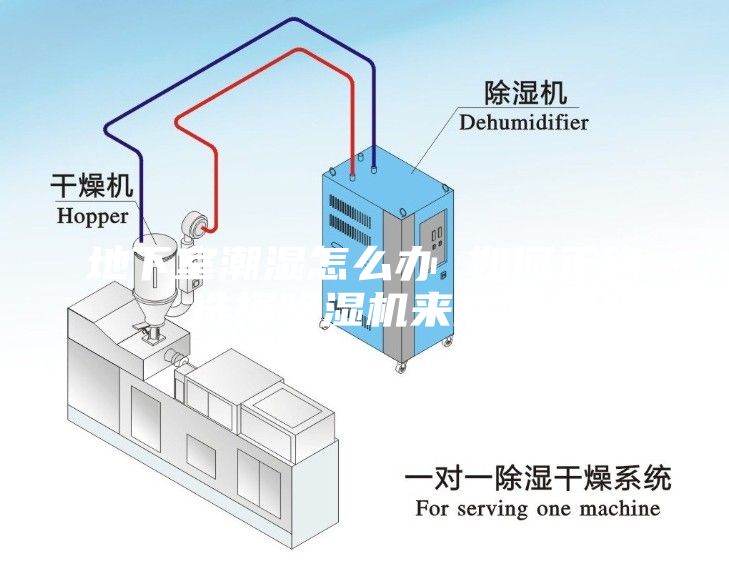 地下室潮濕怎么辦 如何正確選擇除濕機(jī)來防潮