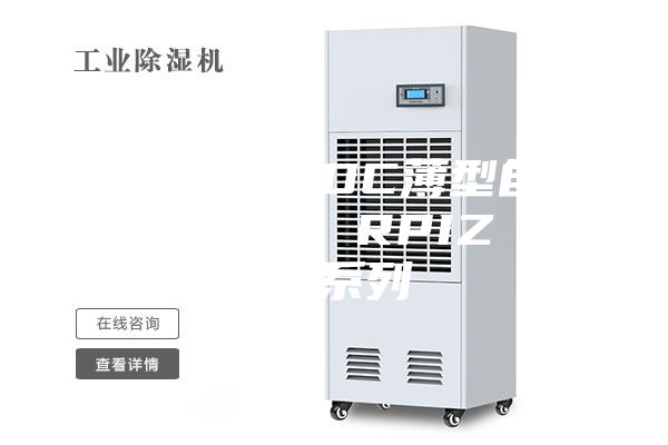 天花板內(nèi)置DC薄型自動(dòng)除濕風(fēng)管機(jī) RPIZ（D）系列