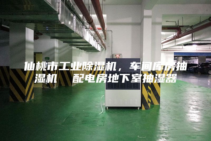 仙桃市工業(yè)除濕機(jī)，車(chē)間庫(kù)房抽濕機(jī)  配電房地下室抽濕器