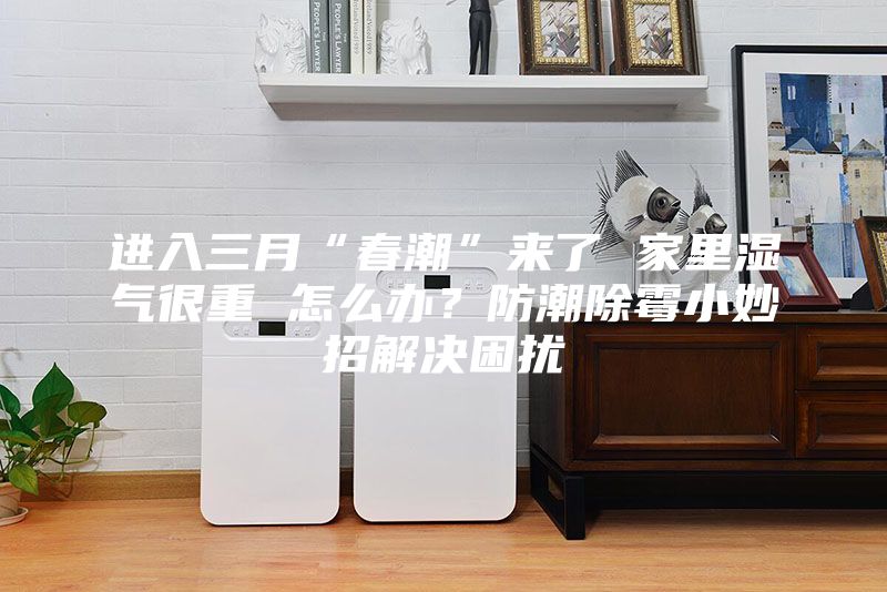 進(jìn)入三月“春潮”來了 家里濕氣很重 怎么辦？防潮除霉小妙招解決困擾