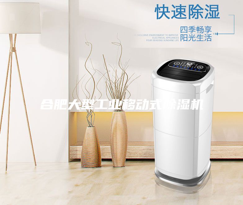 合肥大型工業(yè)移動式除濕機(jī)