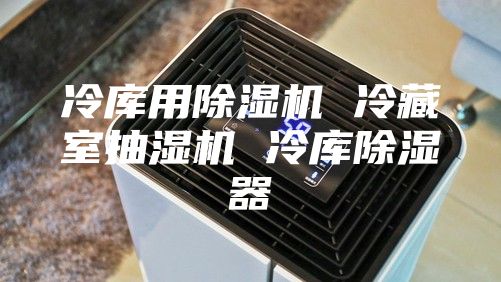 冷庫用除濕機(jī) 冷藏室抽濕機(jī) 冷庫除濕器