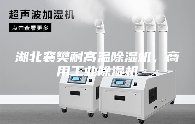 湖北襄樊耐高溫除濕機(jī)，商用工業(yè)除濕機(jī)
